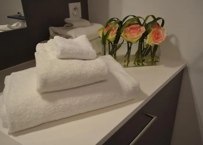 Aparthotel Les Tisserands - Domitys